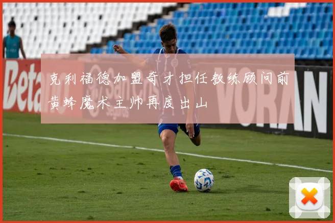 克利福德加盟奇才担任教练顾问前黄蜂魔术主帅再度出山